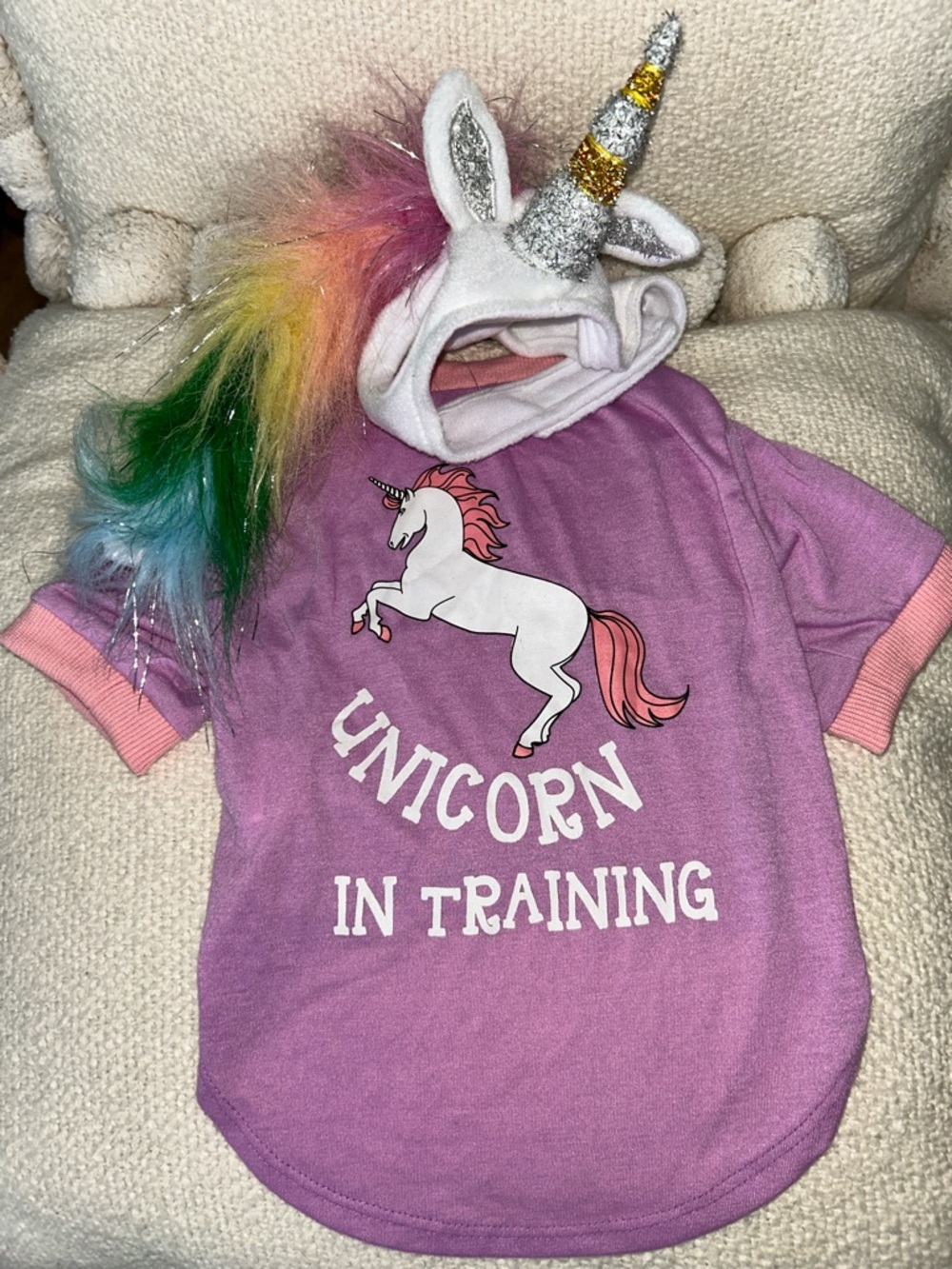 Unicorn 🦄 in Training Dog Costume for Small dogs 🐶